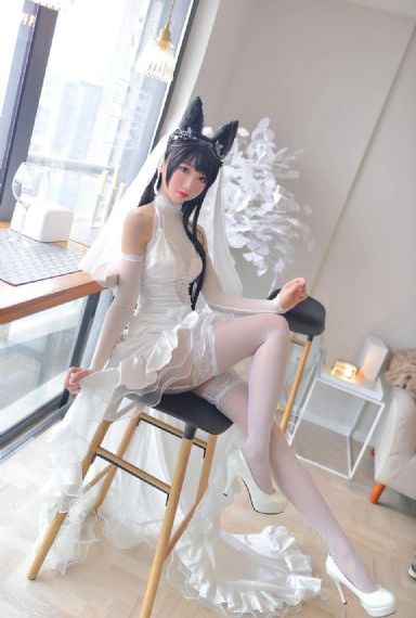 星光机构_高清电影完整版在线观看