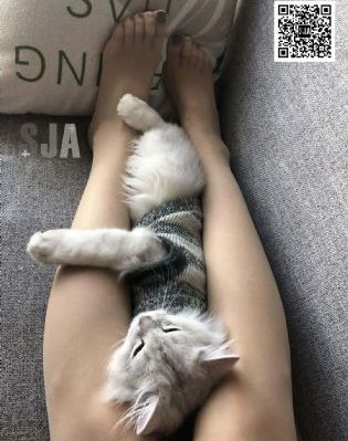灌篮高手电影版_超清在线观看高清