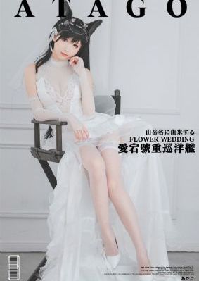 向着胜利前进电视剧全集在线观看_BD国语动漫在线观看